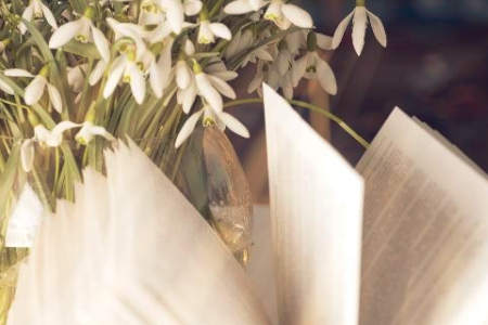 安徽专升本的含金量