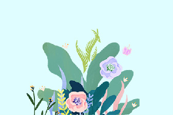 安徽专升本自己怎么报名？