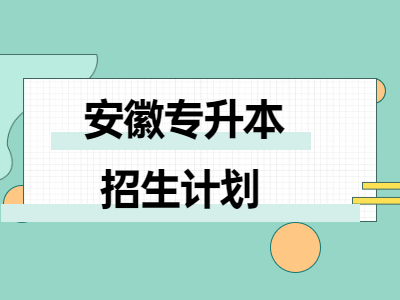 2021年安徽信息工程学院专升本招生计划