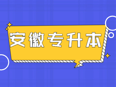 安徽专升本考试会计学考试历年真题训练