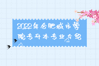 2022年合肥城市学院专升本专业介绍