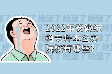 2022年安徽统招专升本公办院校有哪些？