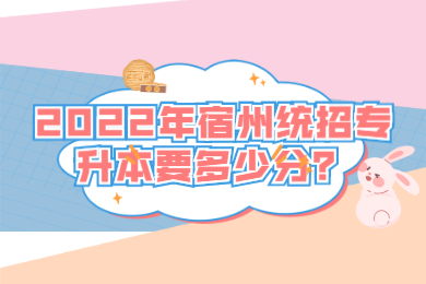 2022年宿州统招专升本要多少分？