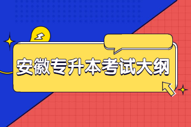 2022年合肥学院专升本学前教育专业考试大纲