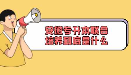 安徽专升本联合培养