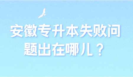 安徽专升本失败问题出在哪儿.png