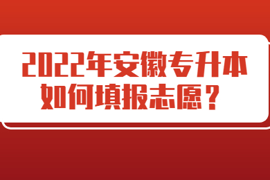 2022年安徽专升本如何填报志愿？