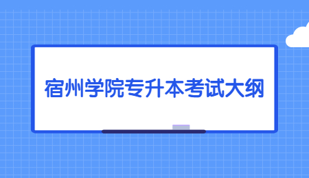 宿州学院专升本考试大纲