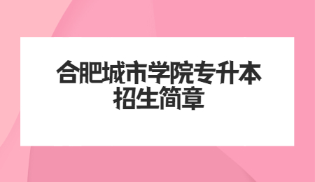 合肥城市学院专升本招生简章