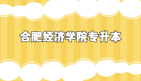 合肥经济学院专升本