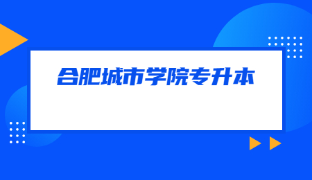 合肥城市学院专升本
