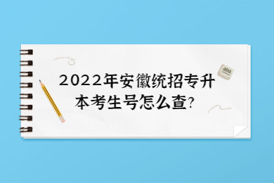 2022年安徽统招专升本考生号怎么查？