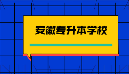 安徽专升本学校
