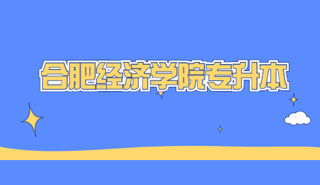 合肥经济学院专升本