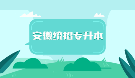 安徽统招专升本学校