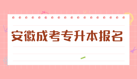 安徽成考专升本报名