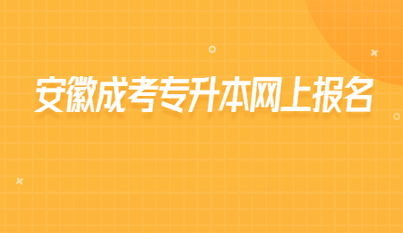 安徽成考专升本网上报名