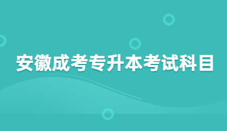 安徽成考专升本考试科目