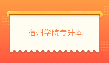 宿州学院专升本.jpg