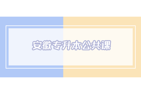 安徽专升本公共课.jpg