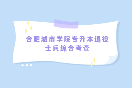 合肥城市学院专升本退役士兵综合考查.jpg