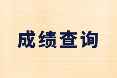 2022年阜阳师范大学信息工程学院专升本专业课成绩查询
