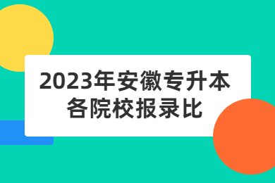 2023年安徽专升本各院校报录比