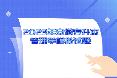 2023年安徽专升本管理学模拟试题