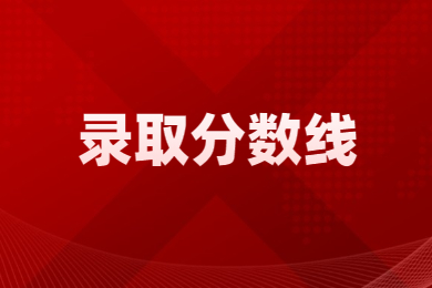 2023年阜阳师范大学信息工程学院专升本公共课分数线