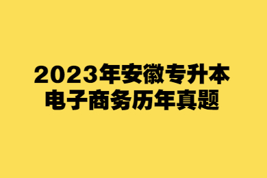 2023年安徽专升本电子商务历年真题