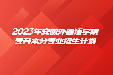 2023年安徽外国语学院专升本分专业招生计划