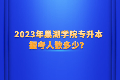 2023年巢湖学院专升本报考人数多少？