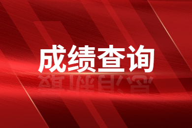 2023年皖江工学院专升本查分申请表