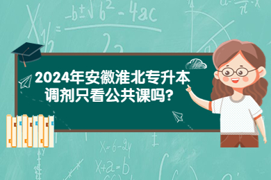 2024年安徽淮北专升本调剂只看公共课吗？