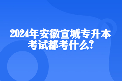2024年安徽宣城专升本考试都考什么？