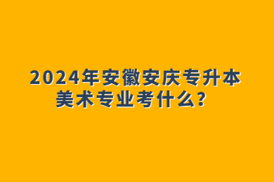 2024年安徽安庆专升本美术专业考什么？