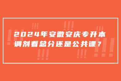 2024年安徽安庆专升本调剂看总分还是公共课？