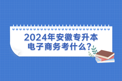 2024年安徽专升本电子商务考什么？