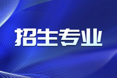 2024年宿州学院专升本专业有哪些?