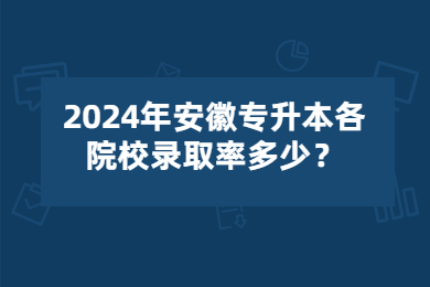 2024年安徽专升本各院校录取率多少？