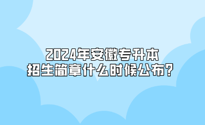 2024年安徽专升本招生简章