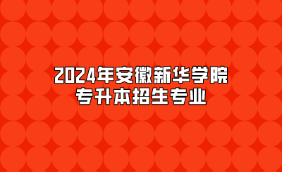 2024年安徽新华学院专升本招生专业