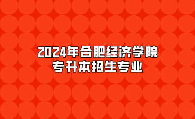 2024年合肥经济学院专升本招生专业