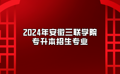2024年安徽三联学院专升本招生专业