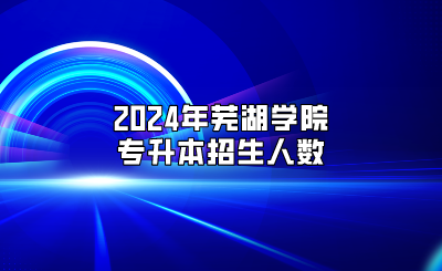 2024年芜湖学院专升本招生人数表