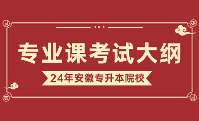 2024年安徽新华学院专升本汉语言文学《中国古代文学》考试大纲
