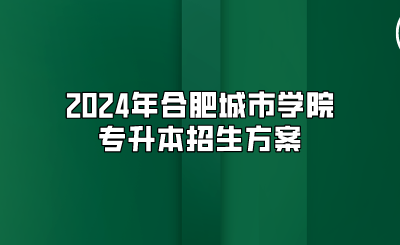 2024年合肥城市学院专升本招生方案