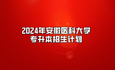 2024年安徽医科大学专升本招生计划