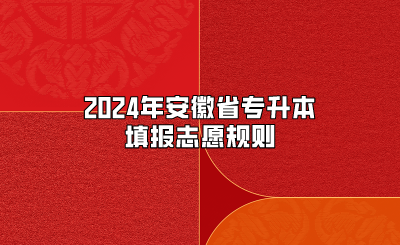 2024年安徽省专升本填报志愿规则