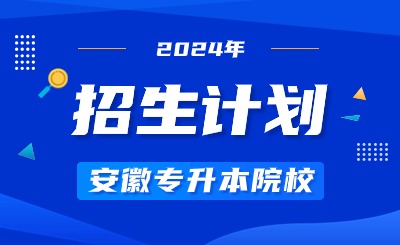 2024年合肥城市学院专升本招生计划